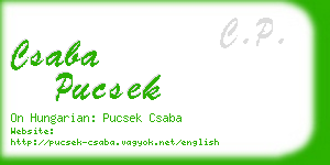 csaba pucsek business card